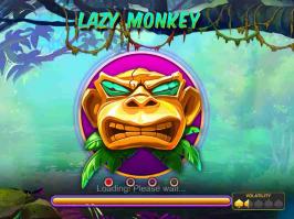 Lazy Monkey